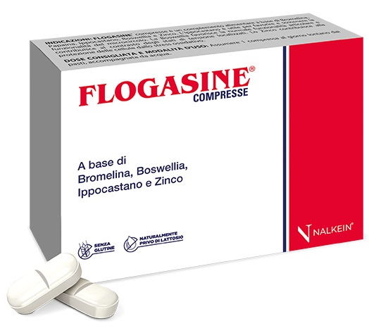 FLOGASINE 20 COMPRESSE - Farmapanda Srl