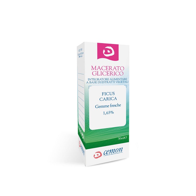 FICUS CARICA GEMME MACERATO GLICERICO 30 ML - Farmapanda Srl