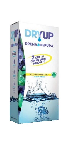 DRYUP MIRTILLO 300 ML - Farmapanda Srl