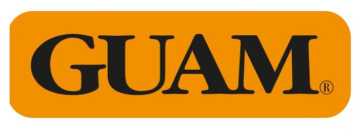 GUAM PANTY VENTRE PIATTO SNELLENTE XS-S 38-40 - Farmapanda Srl