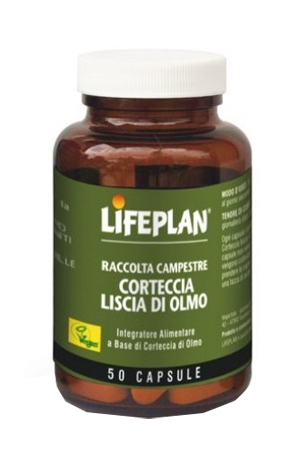 CORTECCIA LISCIA DI OLMO 50 CAPSULE - Farmapanda Srl