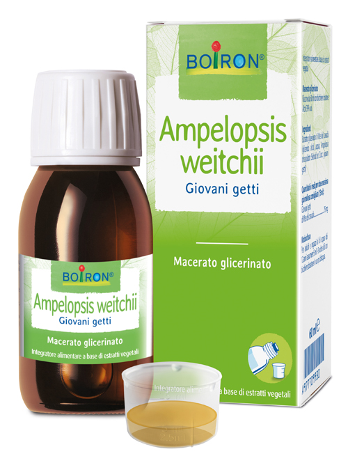 AMPELOPSIS WESTRATTO IDROALCOLICO BOIRON MACERATO GLICERICO 60 ML - Farmapanda Srl