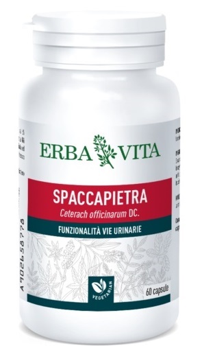 SPACCAPIETRA 60 CAPSULE - Farmapanda Srl