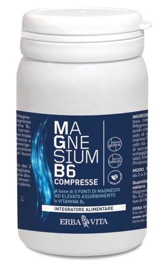 MAGNESIUM B6 60 COMPRESSE - Farmapanda Srl