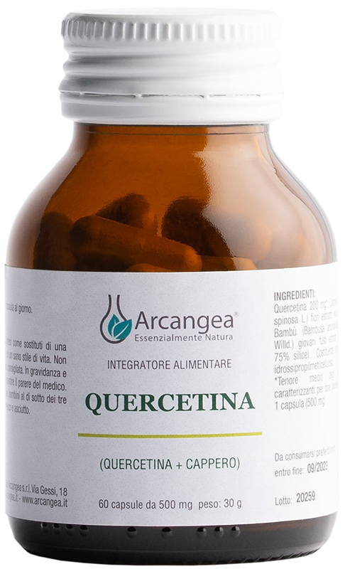 QUERCETINA 60 CAPSULE DA 500 MG - Farmapanda Srl