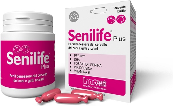 SENILIFE PLUS 60 CAPSULE - Farmapanda Srl