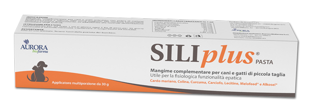 SILIPLUS PASTA 30 G - Farmapanda Srl