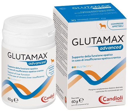 GLUTAMAX ADVANCED 30 COMPRESSE - Farmapanda Srl